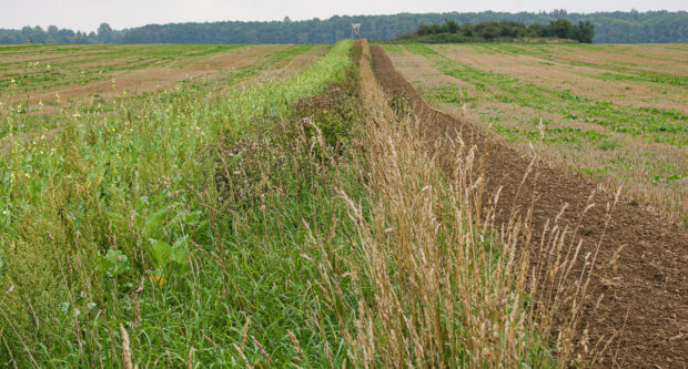 Viltvård Agrojakt